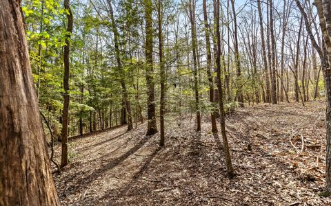 Tiny photo for 2593 Boston Branch Circle, Signal Mountain, TN 37377 (MLS # 1512937)