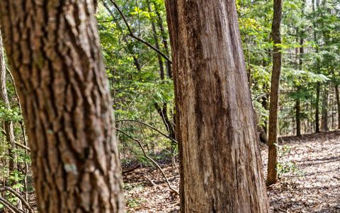 Tiny photo for 2593 Boston Branch Circle, Signal Mountain, TN 37377 (MLS # 1512937)