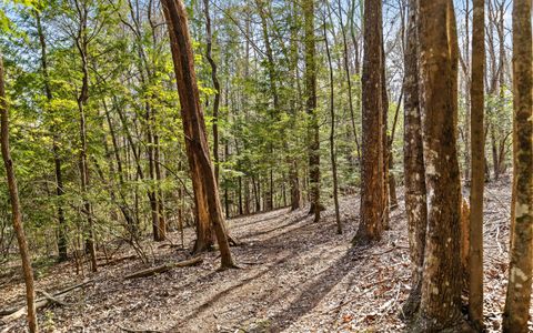 Tiny photo for 2593 Boston Branch Circle, Signal Mountain, TN 37377 (MLS # 1512937)