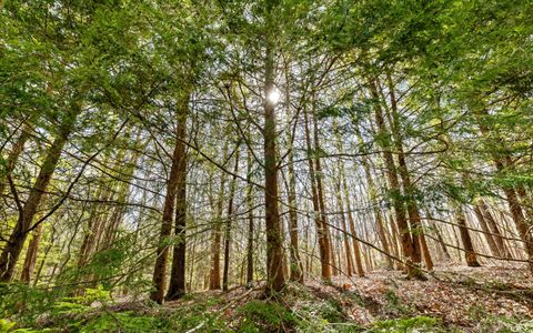 Tiny photo for 2593 Boston Branch Circle, Signal Mountain, TN 37377 (MLS # 1512937)