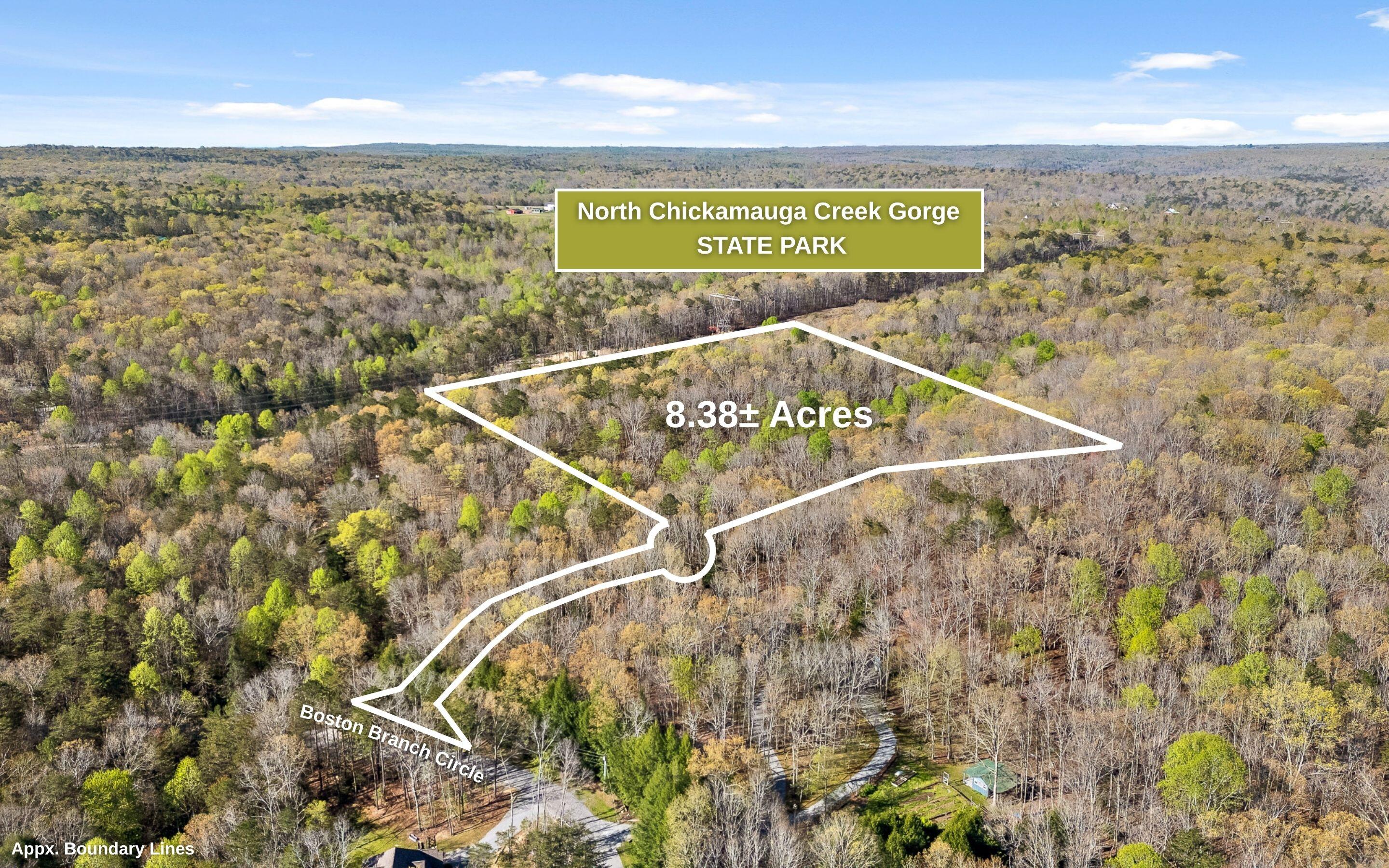 2593 Boston Branch Circle, Signal Mountain, Tennessee image 3