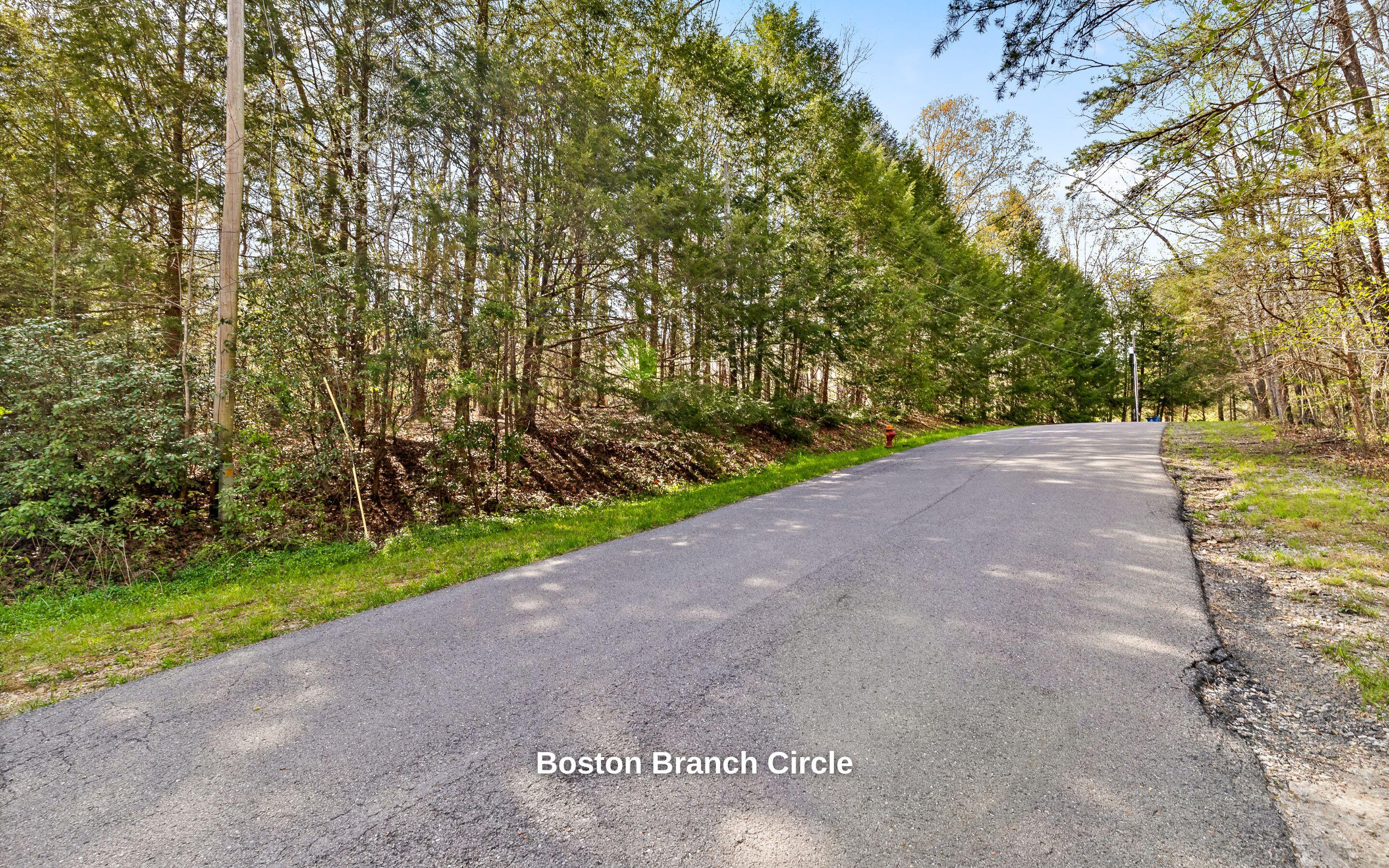 2593 Boston Branch Circle, Signal Mountain, Tennessee image 10