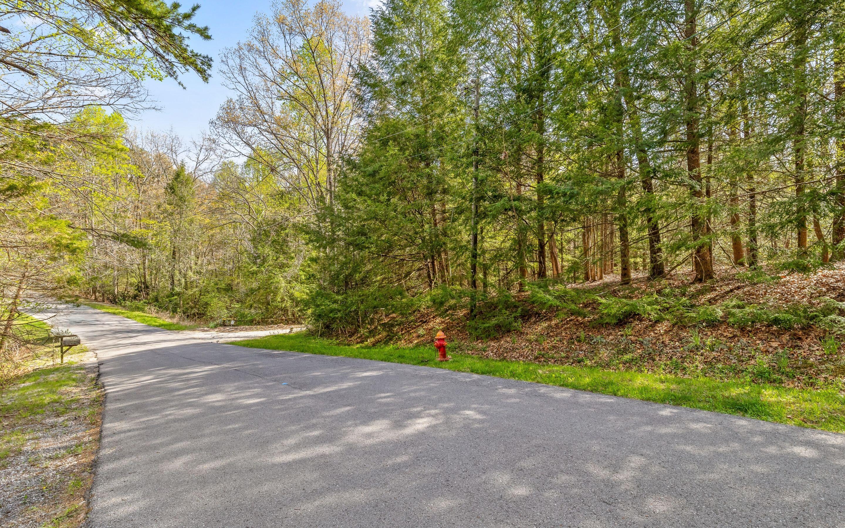 2593 Boston Branch Circle, Signal Mountain, Tennessee image 4