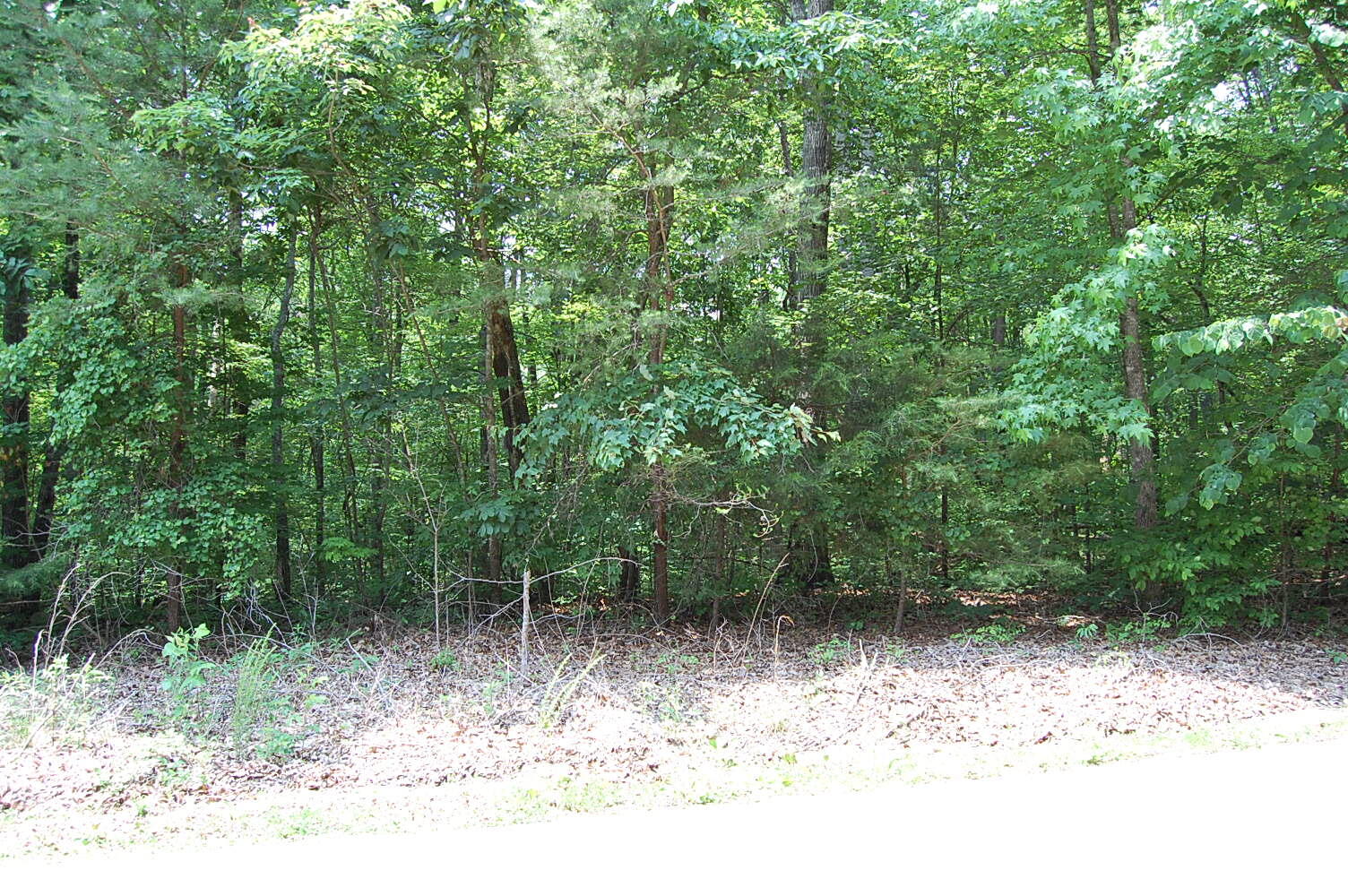 3133 Blue Sewanee Road, Dunlap, Tennessee image 2