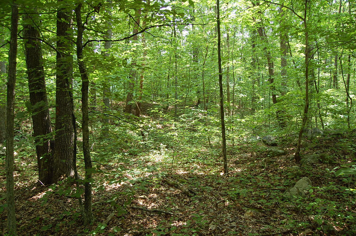 3133 Blue Sewanee Road, Dunlap, Tennessee image 23