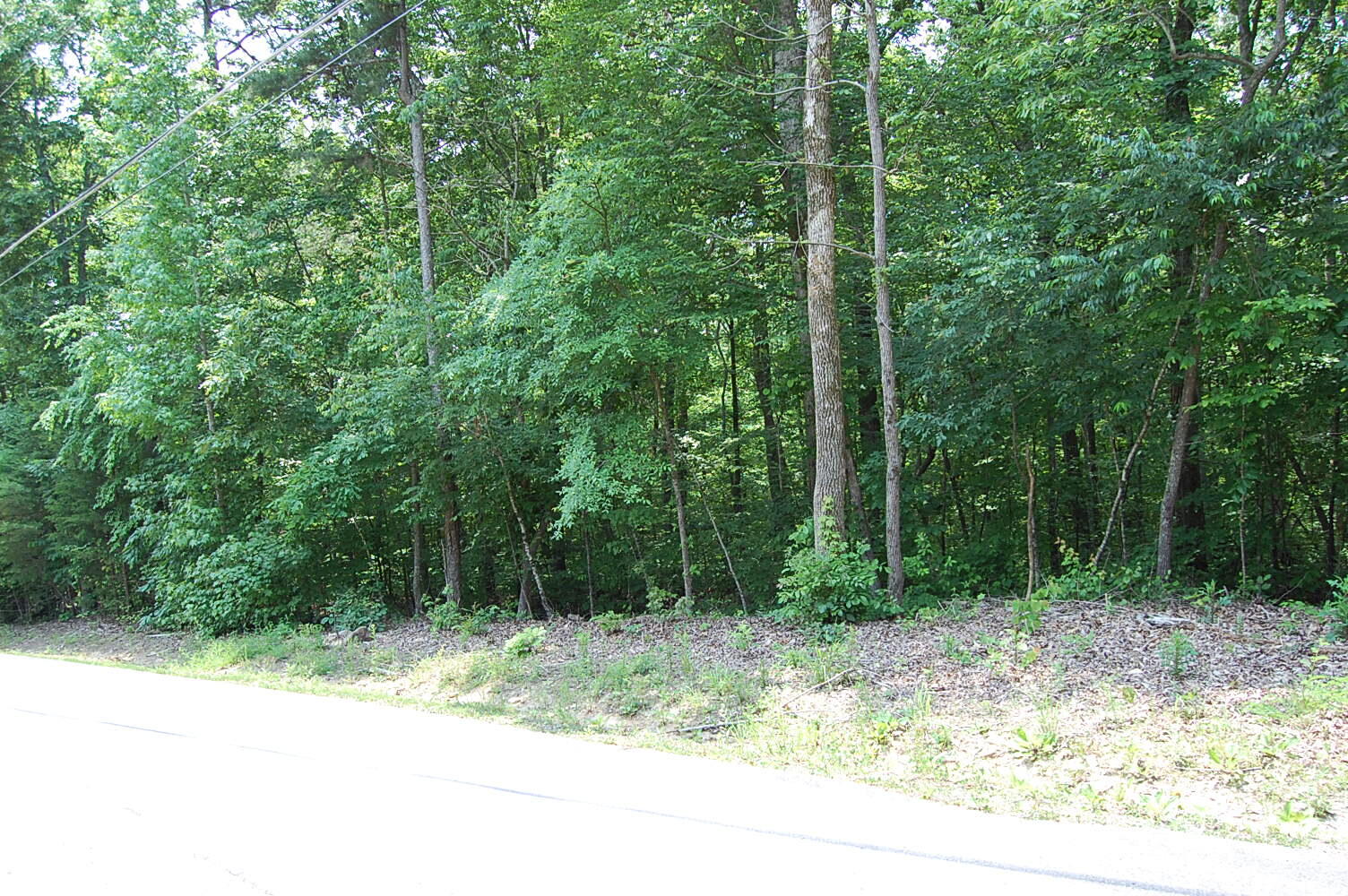 3133 Blue Sewanee Road, Dunlap, Tennessee image 3