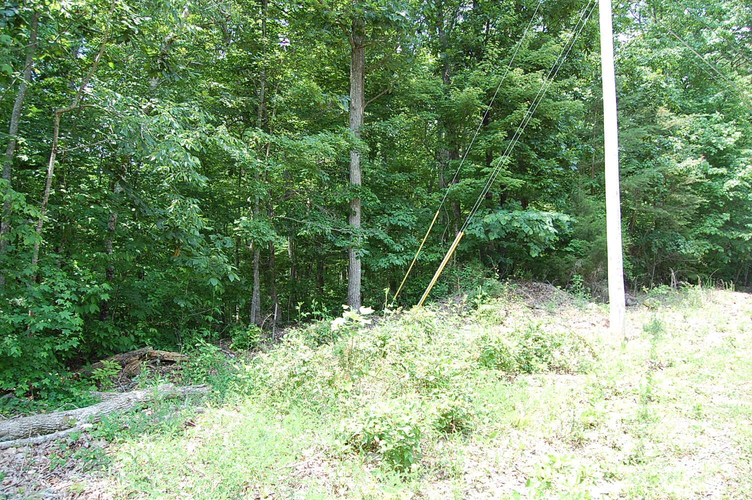3133 Blue Sewanee Road, Dunlap, Tennessee image 5