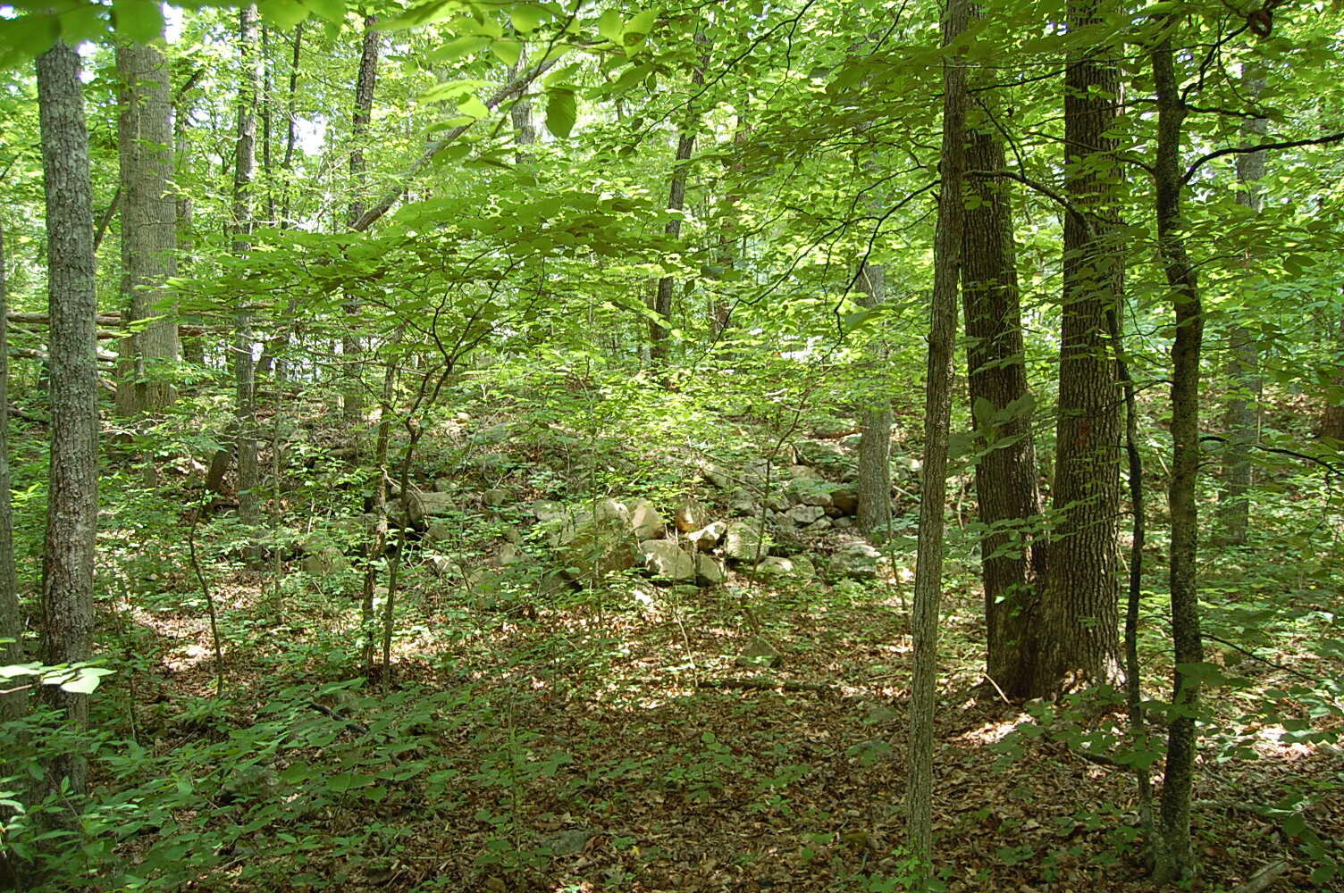 3133 Blue Sewanee Road, Dunlap, Tennessee image 22