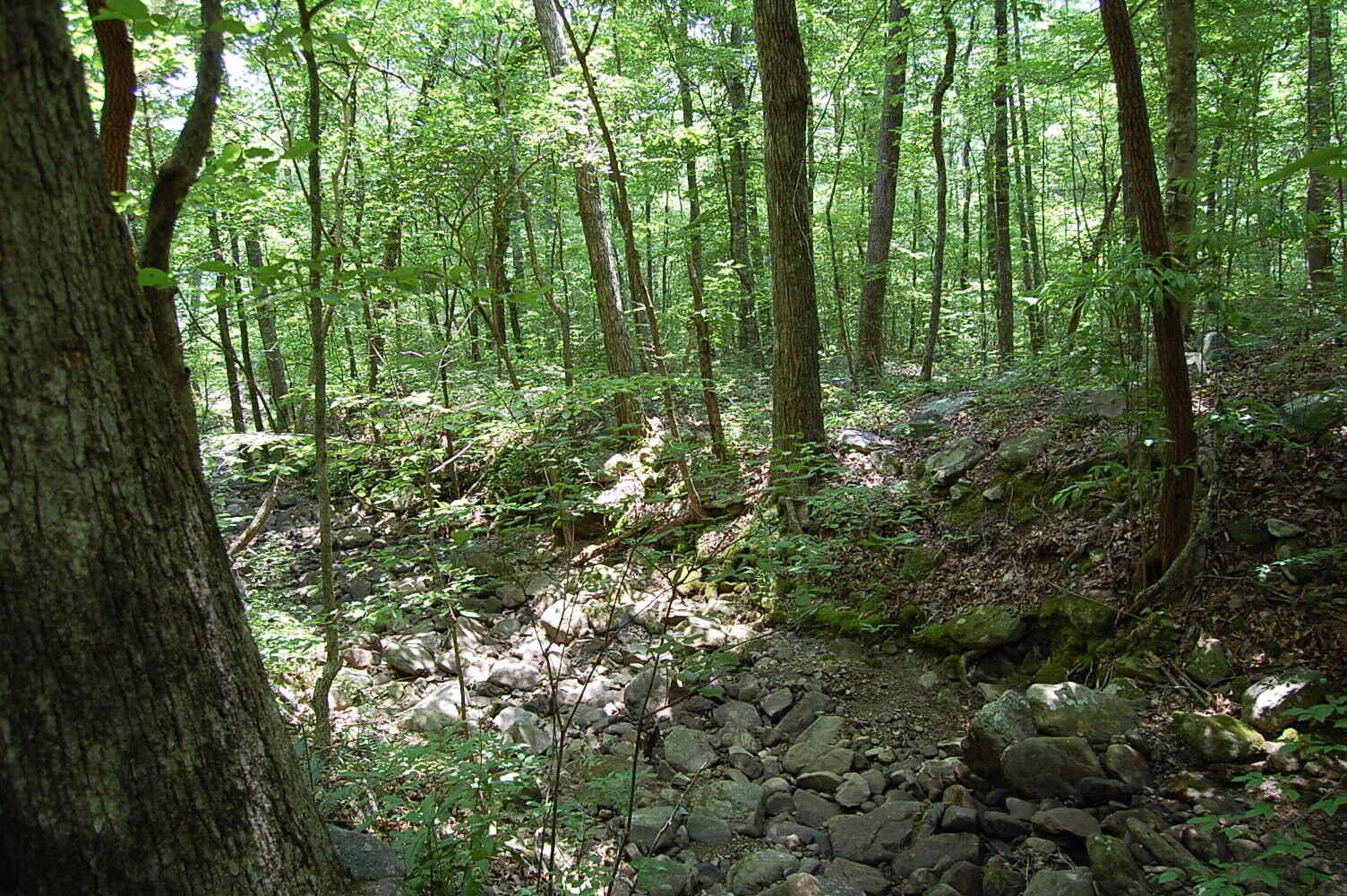 3133 Blue Sewanee Road, Dunlap, Tennessee image 10