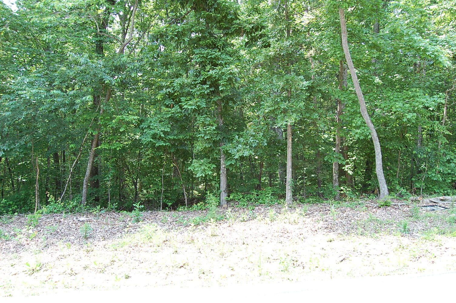 3133 Blue Sewanee Road, Dunlap, Tennessee image 4