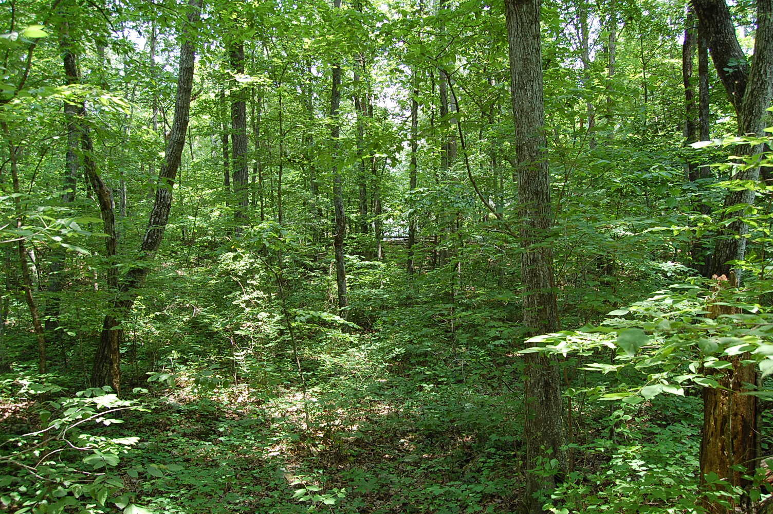 3133 Blue Sewanee Road, Dunlap, Tennessee image 19