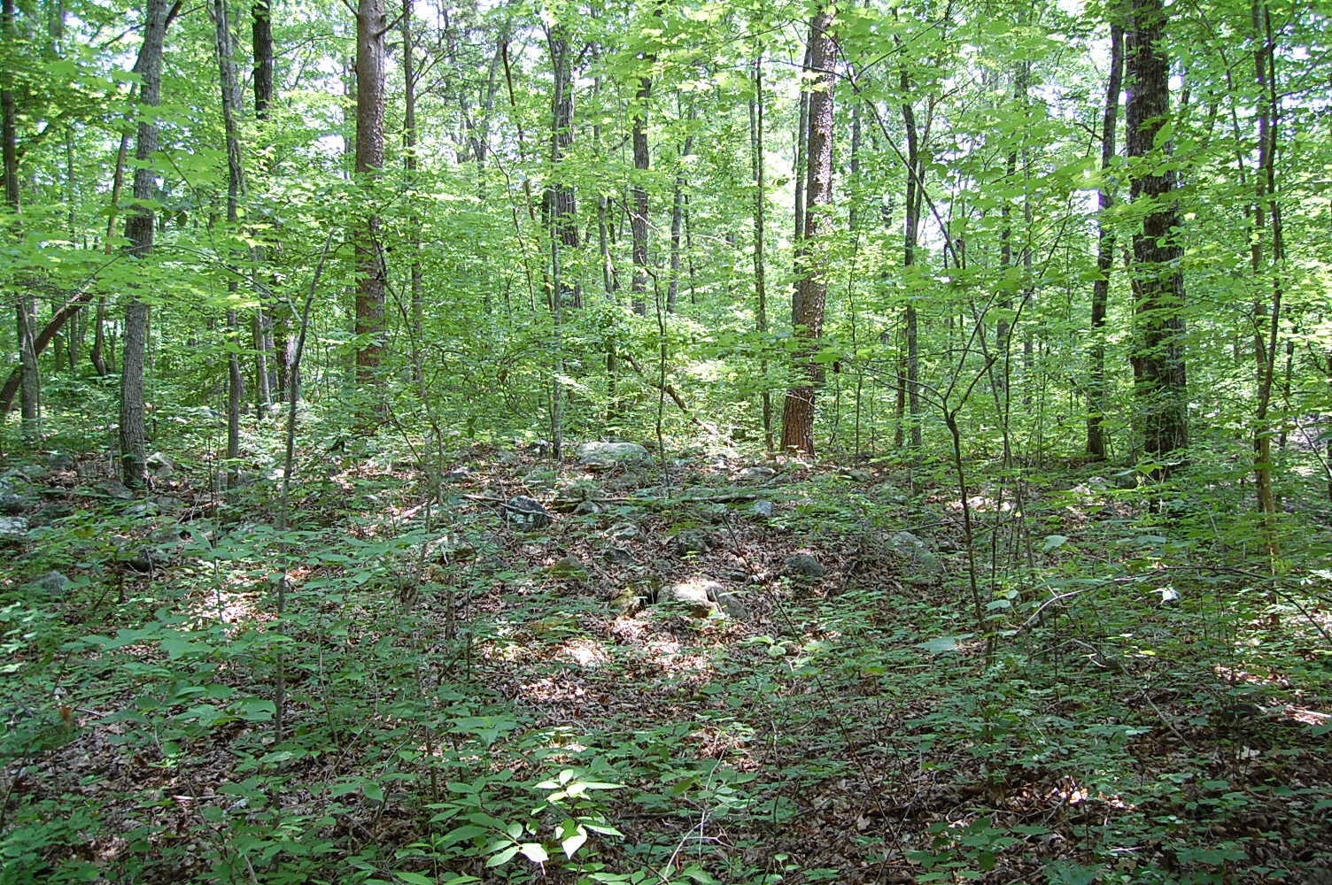 3133 Blue Sewanee Road, Dunlap, Tennessee image 12