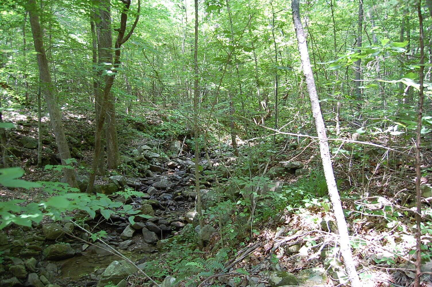 3133 Blue Sewanee Road, Dunlap, Tennessee image 14