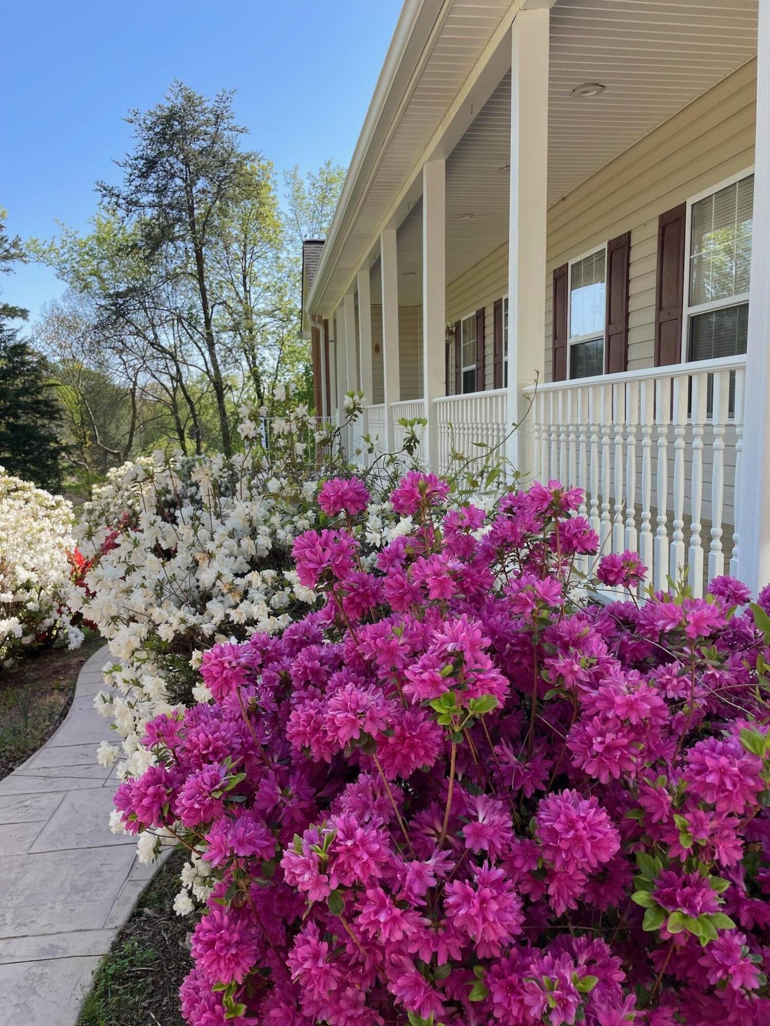 7909 N Dent Road, Hixson, Tennessee image 10