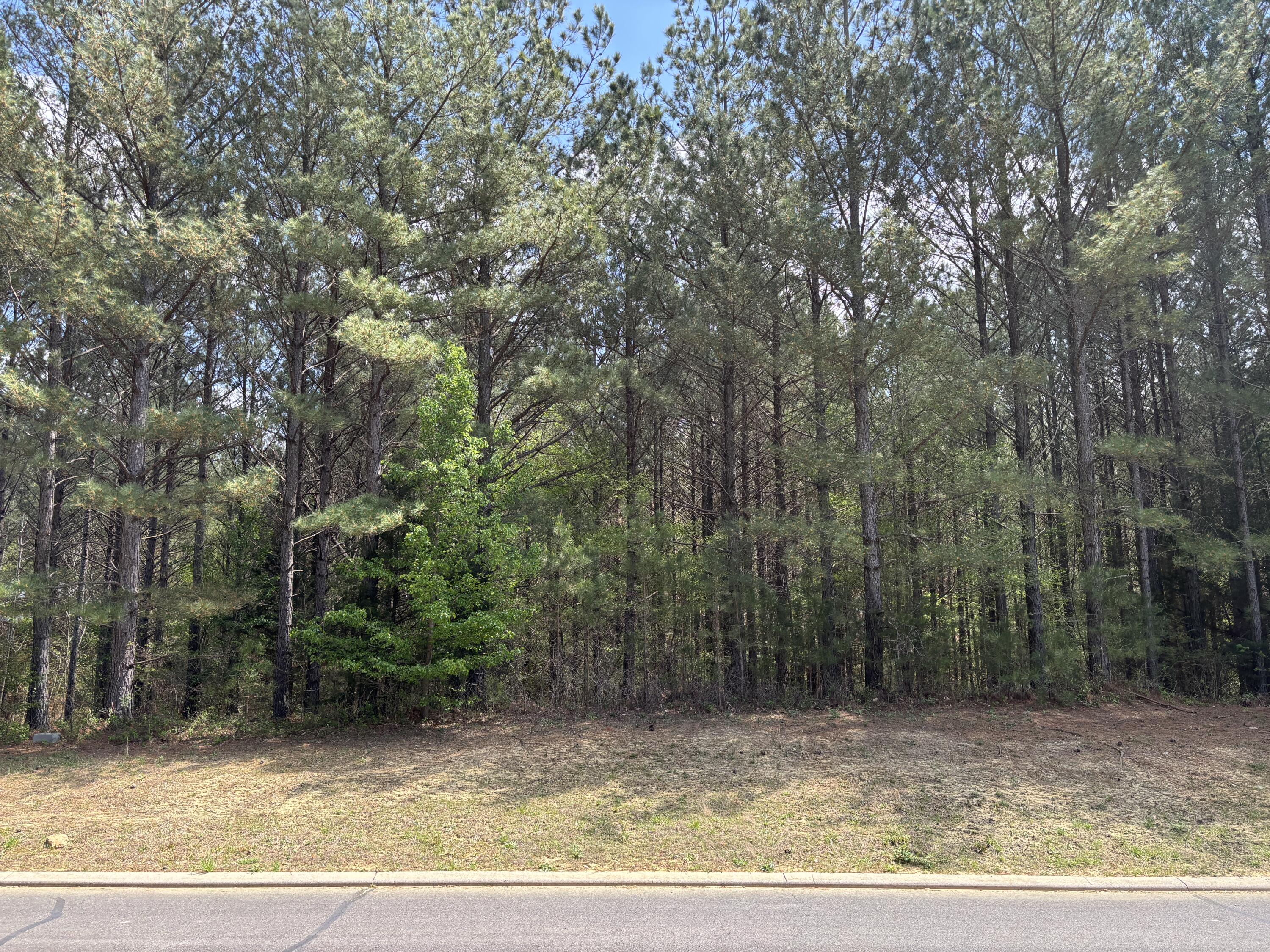 329 Mountain View Circle, Ocoee, Tennessee image 3