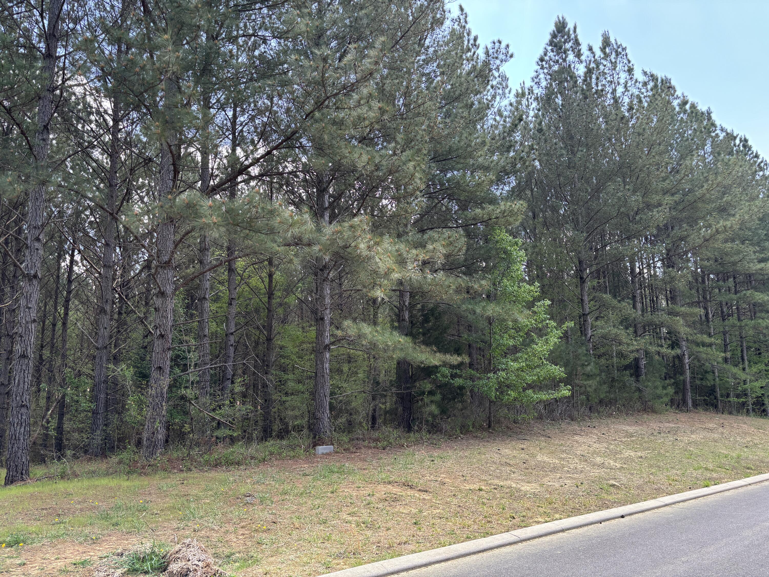 329 Mountain View Circle, Ocoee, Tennessee image 1