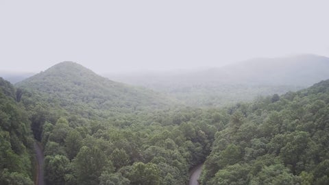 Vacant Land For Sale - Prospectors Pass<br/> Ellijay, GA 30536