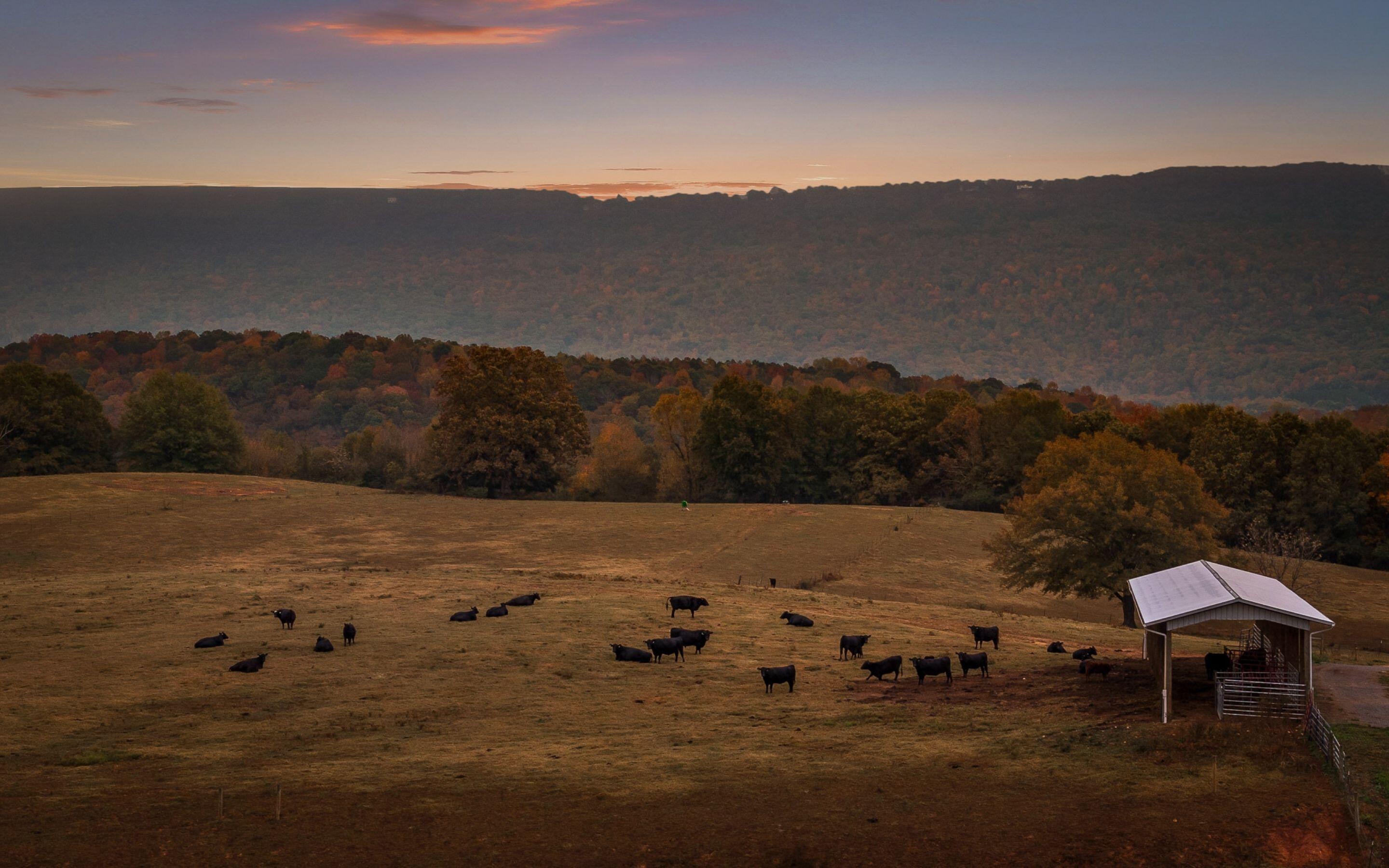 530 Sweetwater Road, Whitwell, Tennessee image 12