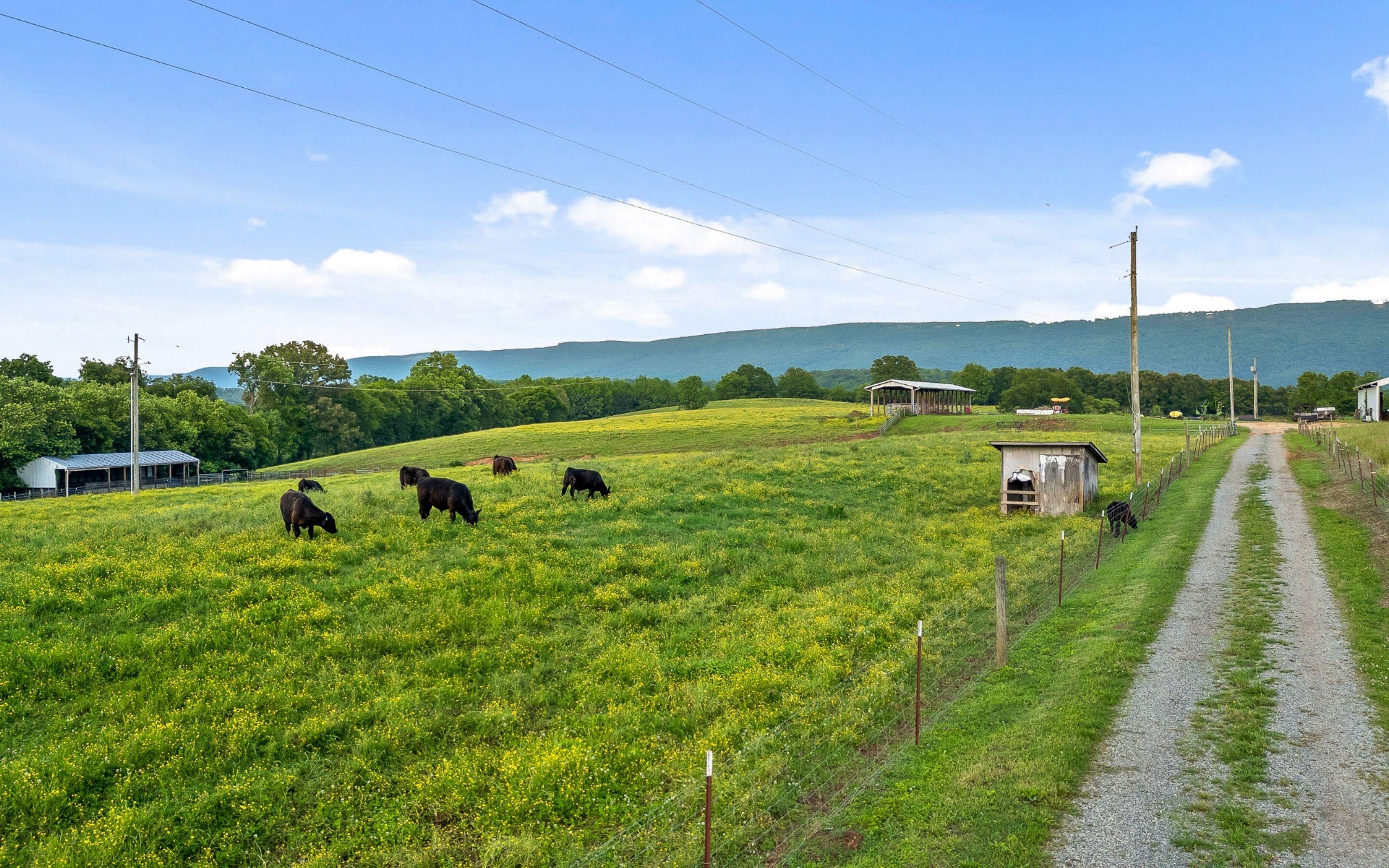 530 Sweetwater Road, Whitwell, Tennessee image 44