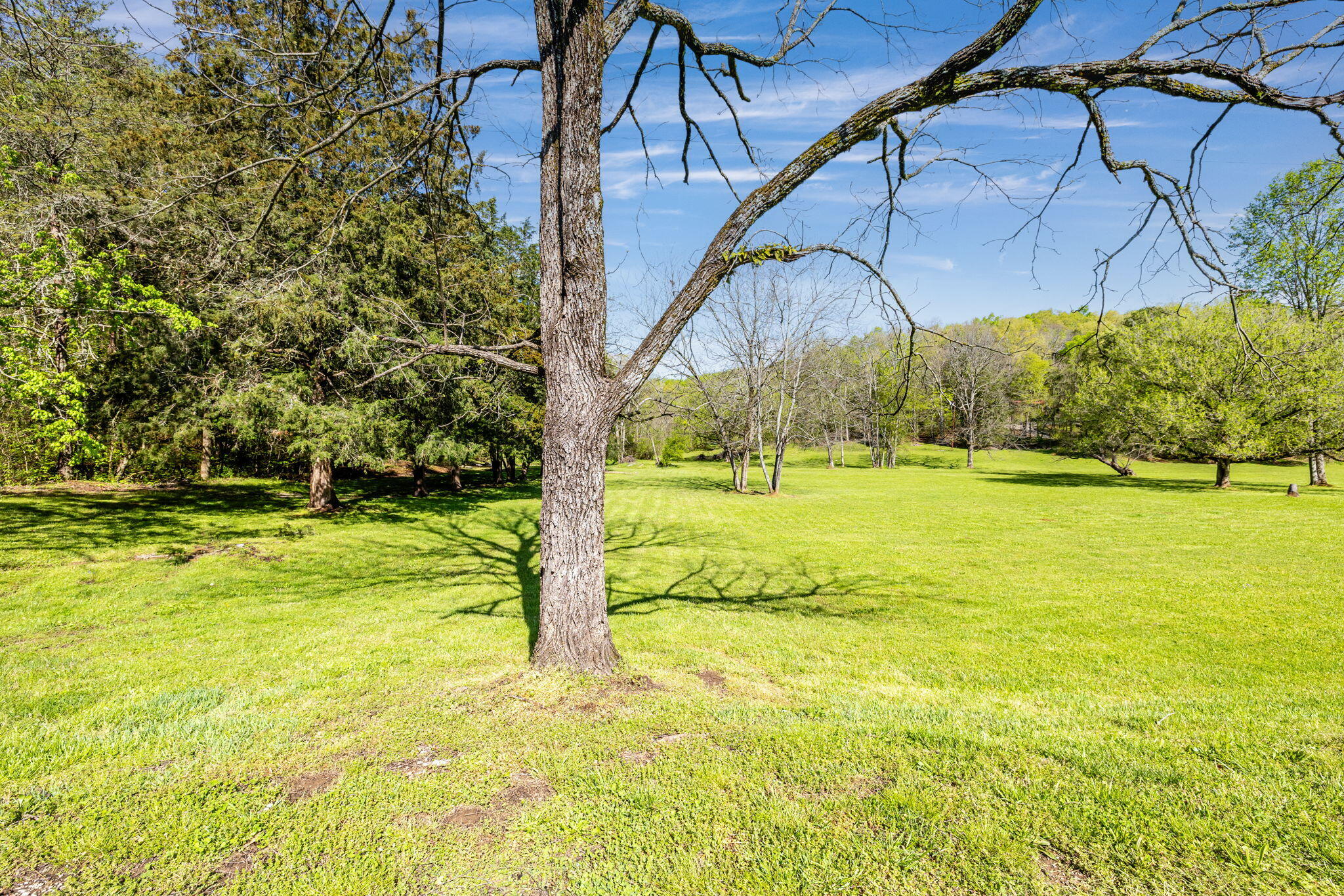 697 Byrds Chapel Drive, Rising Fawn, Georgia image 41