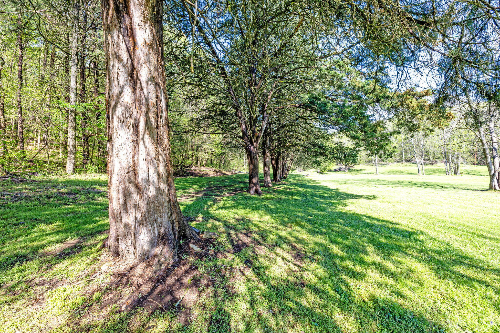 697 Byrds Chapel Drive, Rising Fawn, Georgia image 42