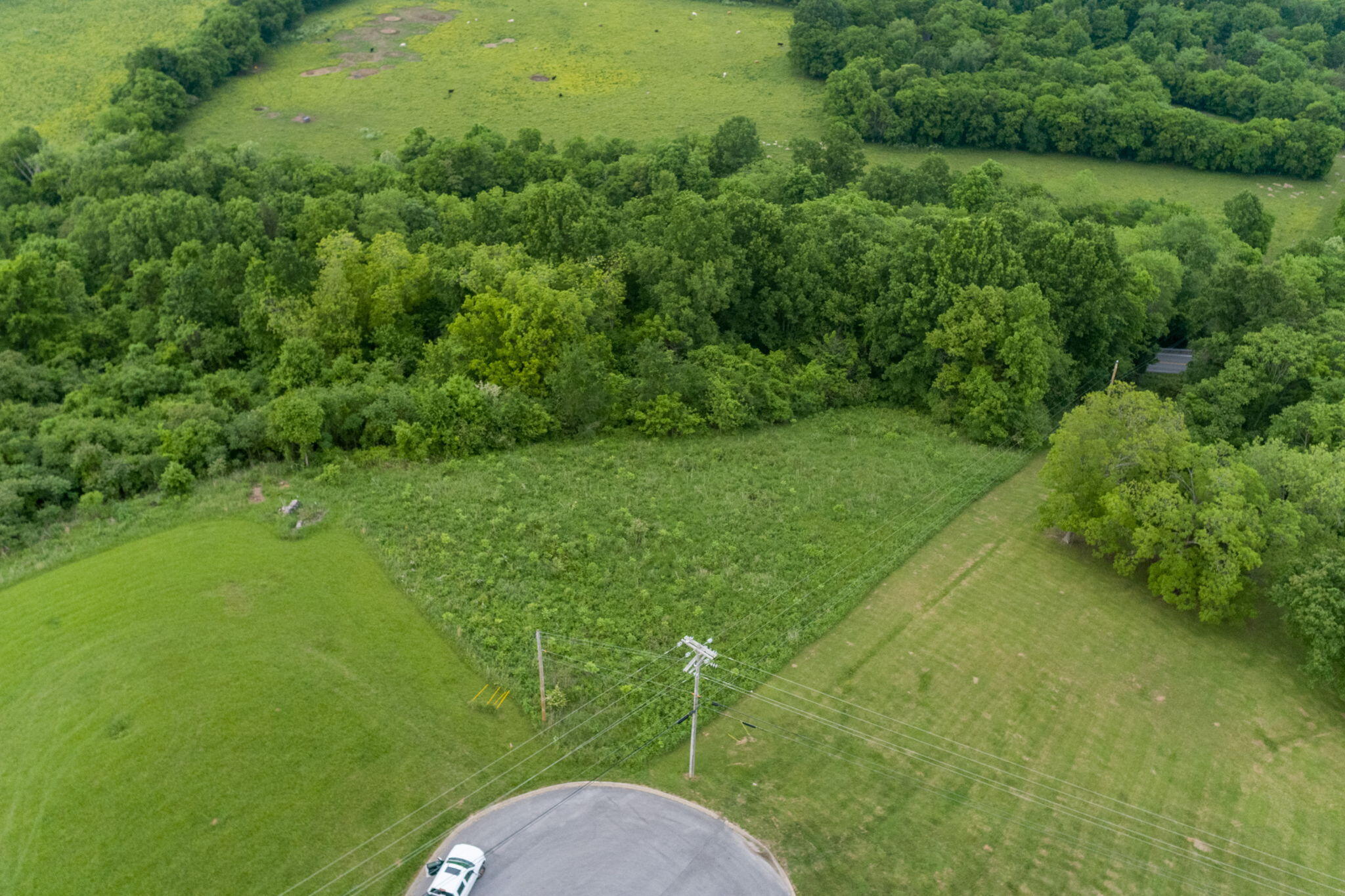 Overlook Lane, Shelbyville, Tennessee image 8