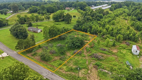 Vacant Land For Sale - 301 County Road 315<br/> Bryant, AL 35958