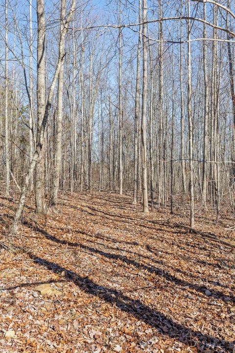 Tiny photo for 967 Walden Drive, Signal Mountain, TN 37377 (MLS # 1526991)