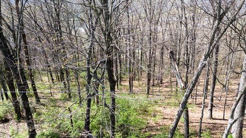 Tiny photo for 269 Whitehall Road, Chattanooga, TN 37405 (MLS # 1509461)