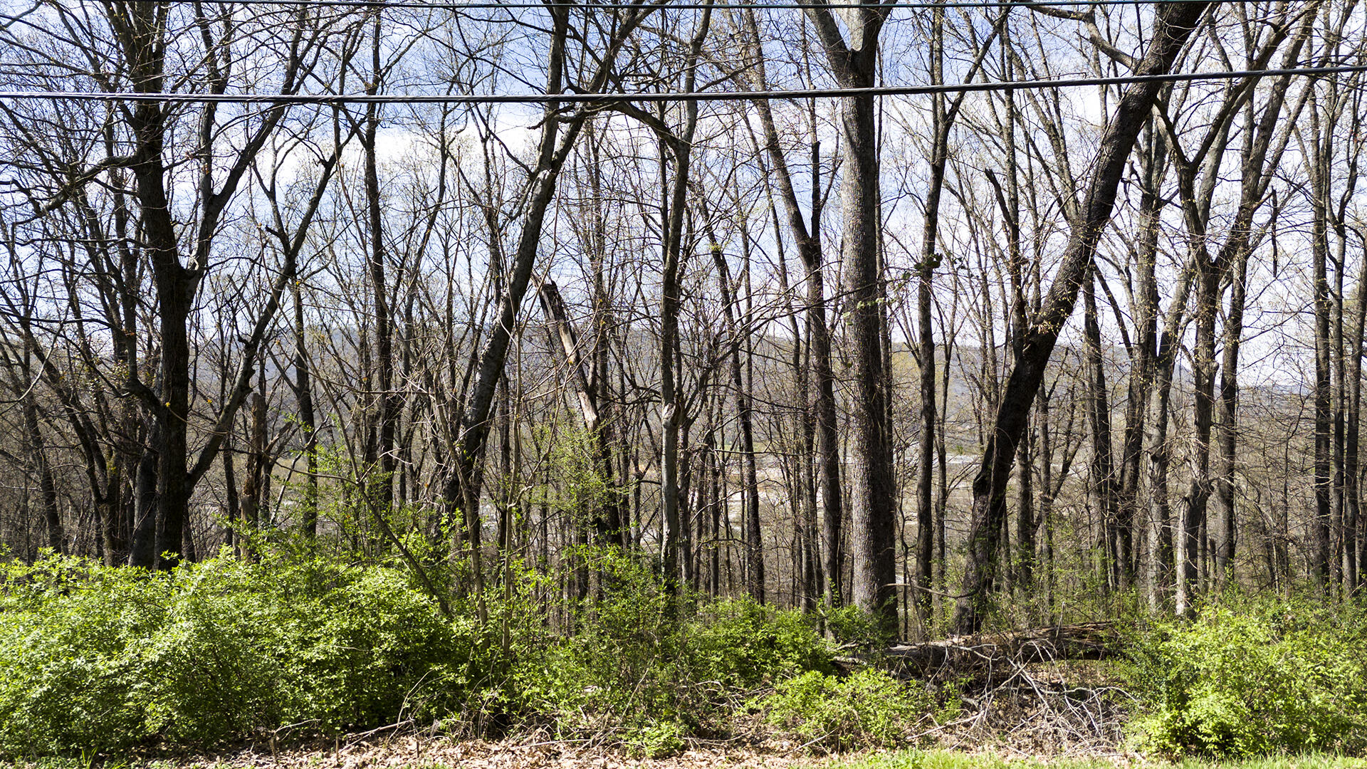 269 Whitehall Road, Chattanooga, Tennessee image 14
