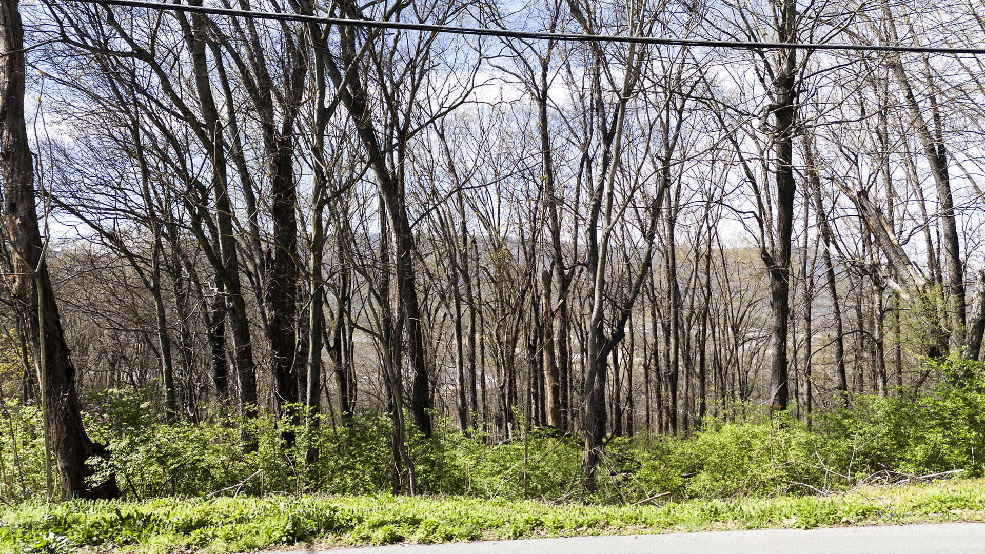269 Whitehall Road, Chattanooga, Tennessee image 3