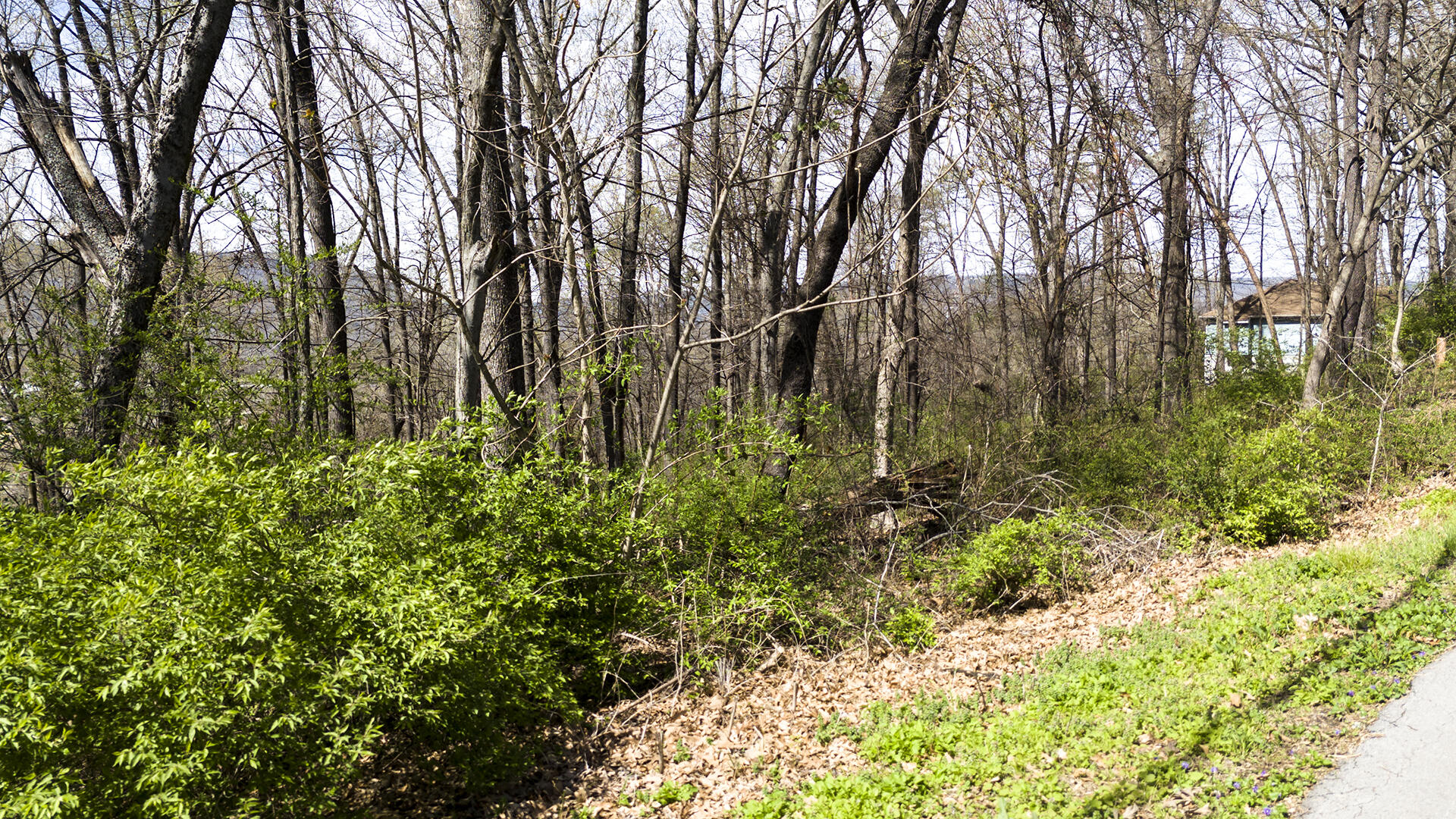 269 Whitehall Road, Chattanooga, Tennessee image 9