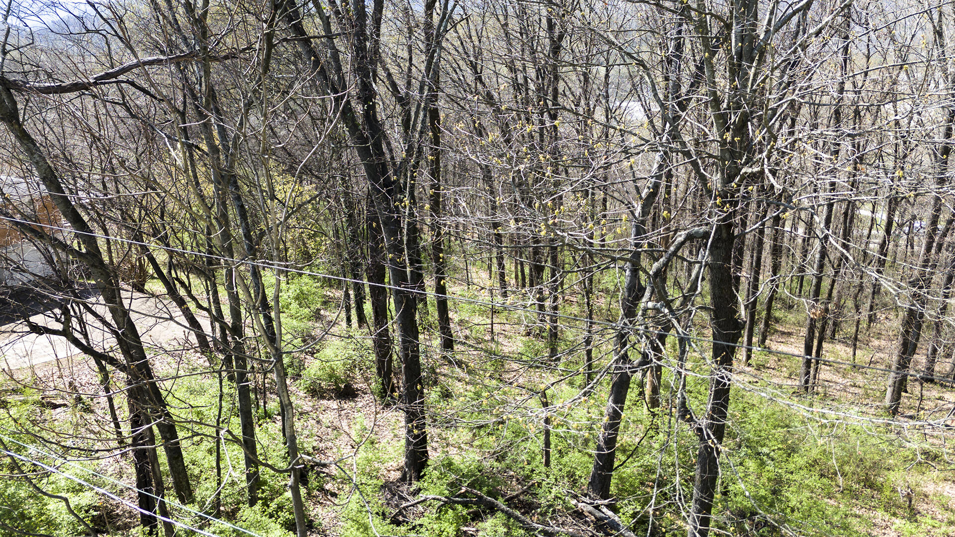 269 Whitehall Road, Chattanooga, Tennessee image 8
