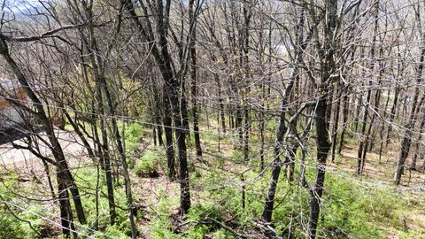 Tiny photo for 269 Whitehall Road, Chattanooga, TN 37405 (MLS # 1509461)