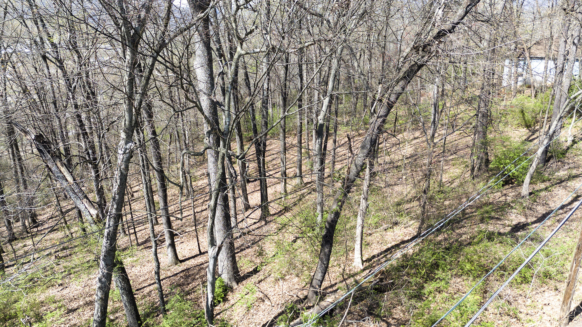 269 Whitehall Road, Chattanooga, Tennessee image 7