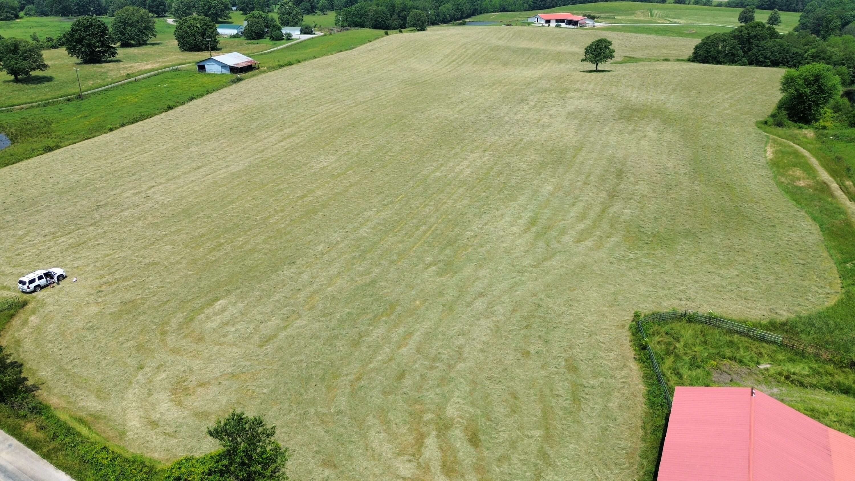 150 Wilson Road, Pikeville, Tennessee image 3