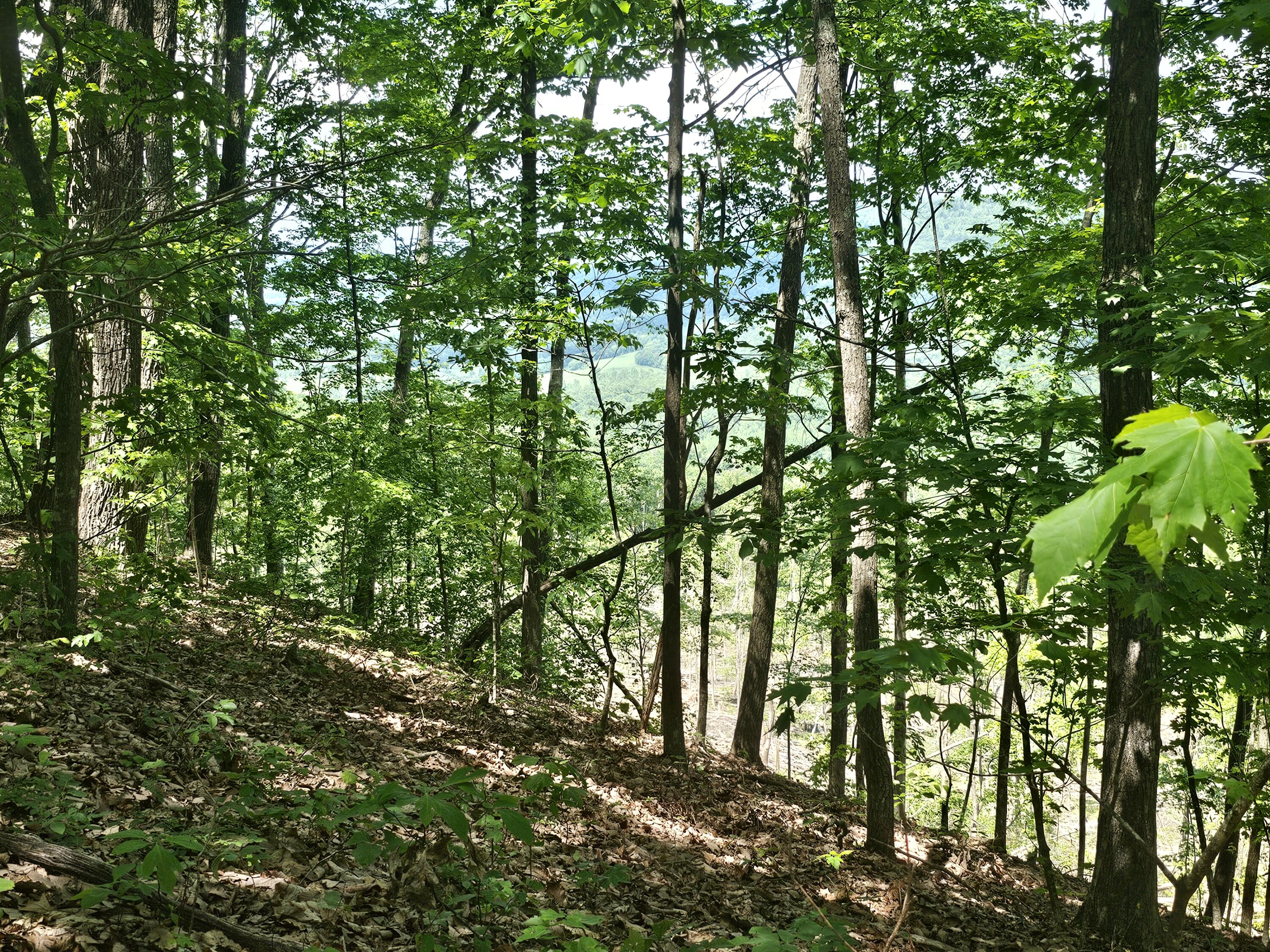 13 Higgenbottom Turnpike #13, Altamont, Tennessee image 2