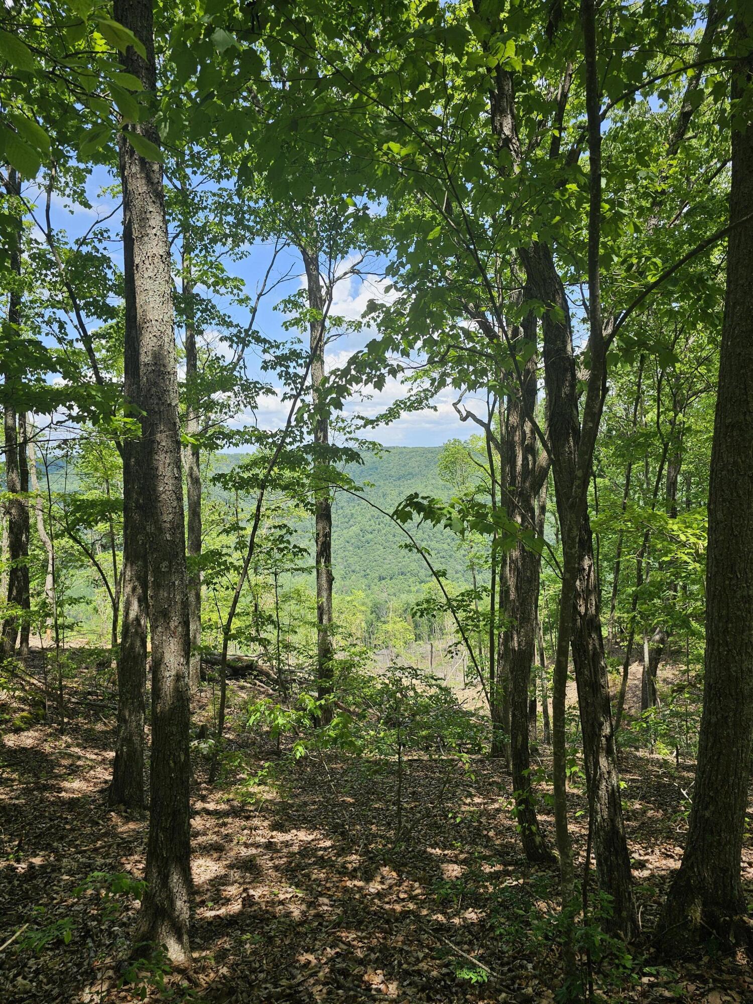 13 Higgenbottom Turnpike #13, Altamont, Tennessee image 1