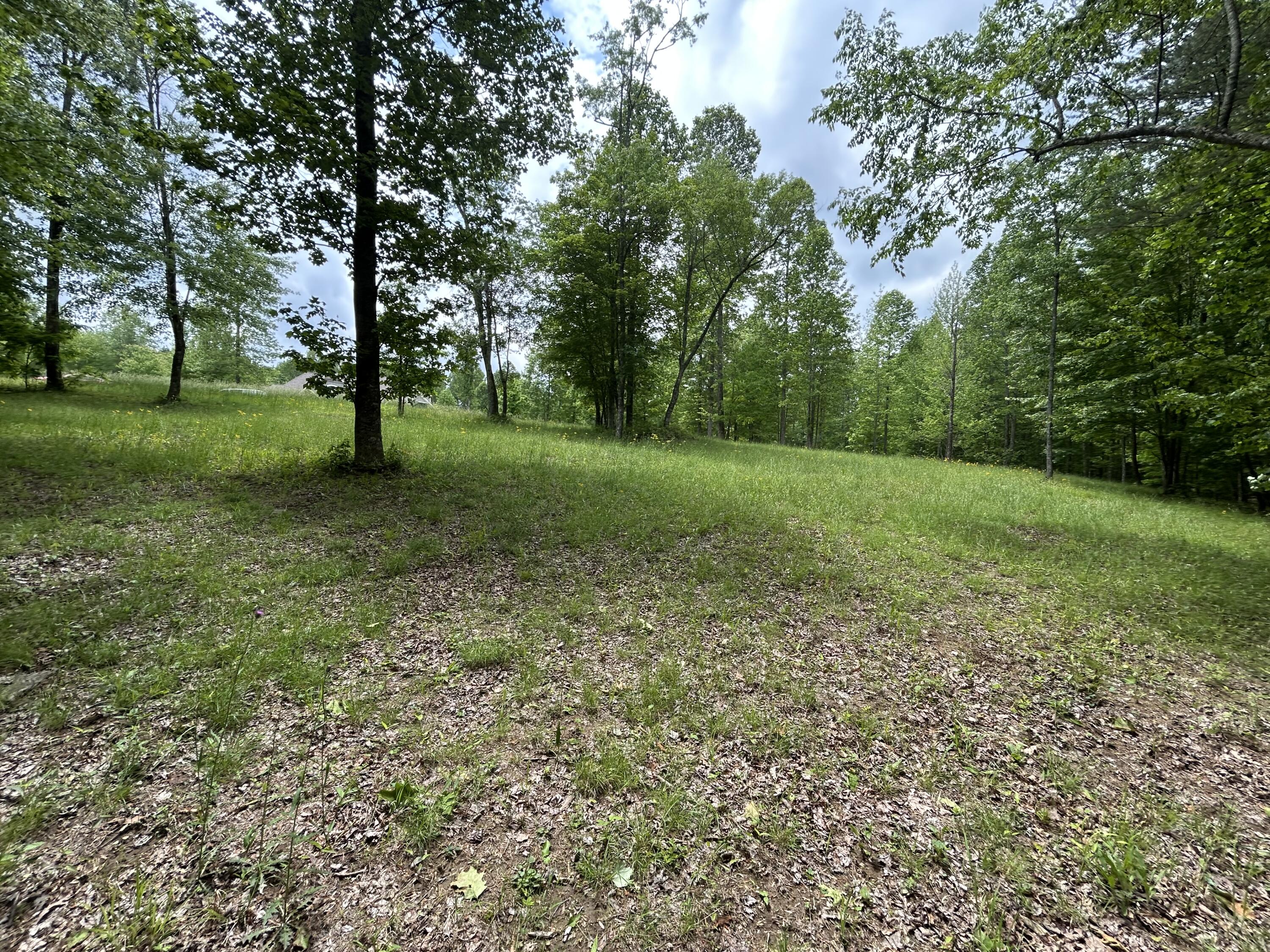 284 Jasper Creek Court Ct #-239, Jasper, Tennessee image 8