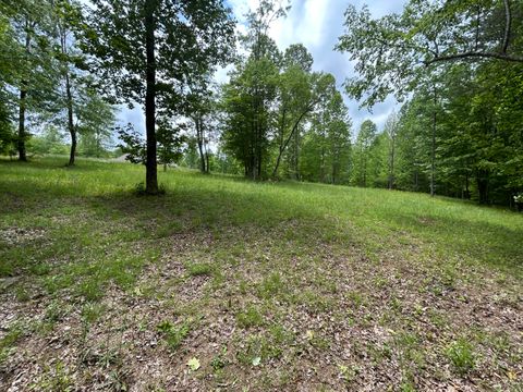 Photo of 284 Jasper Creek Court Ct, Jasper, TN 37347 (MLS # 1513095)