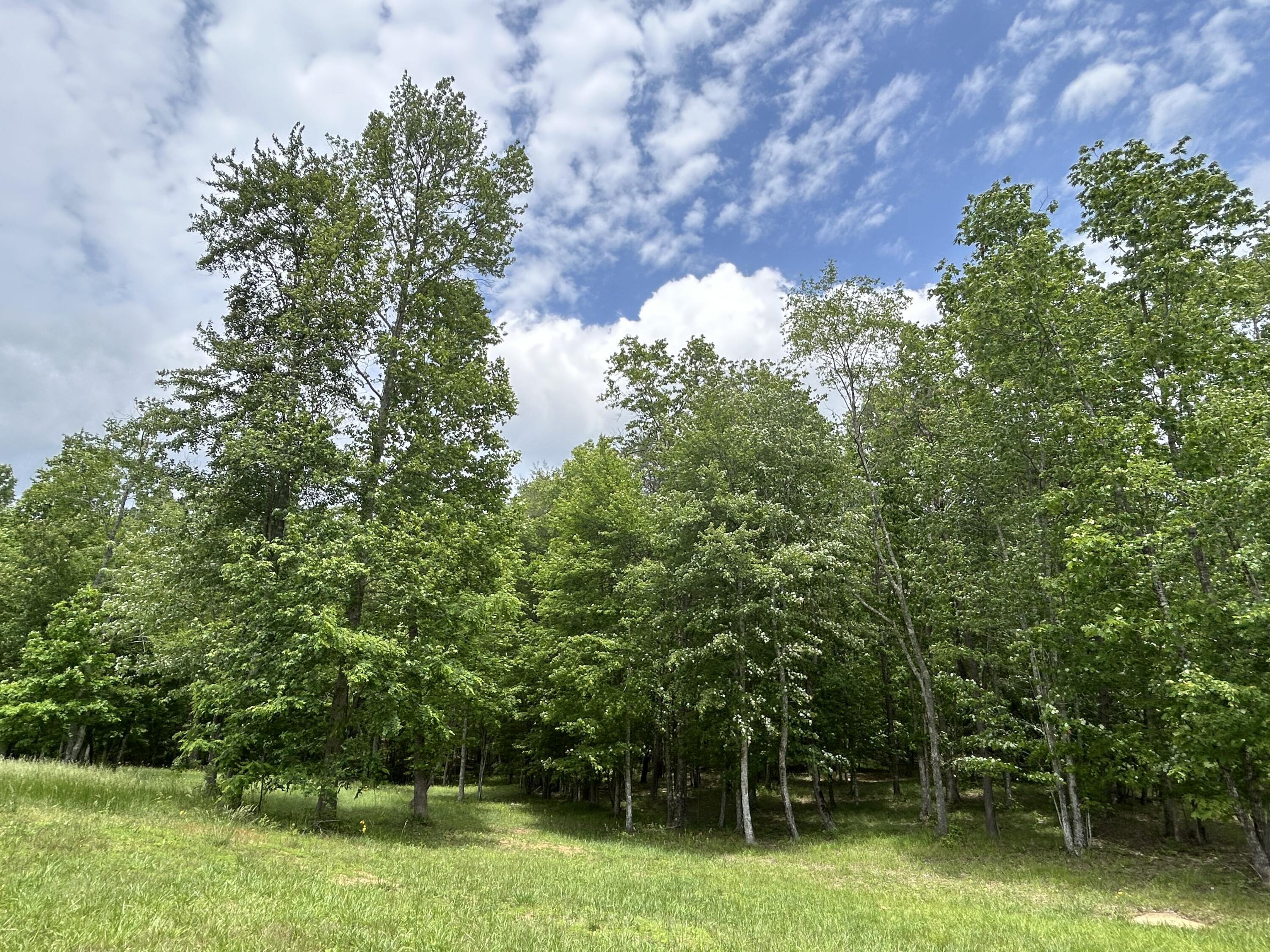 284 Jasper Creek Court Ct #-239, Jasper, Tennessee image 16