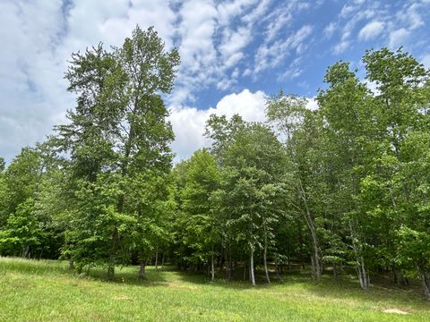 Tiny photo for 284 Jasper Creek Court Ct, Jasper, TN 37347 (MLS # 1513095)