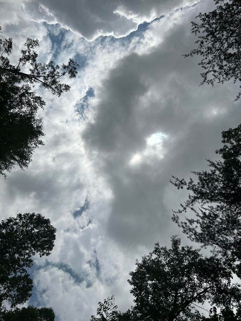 Tiny photo for 284 Jasper Creek Court Ct, Jasper, TN 37347 (MLS # 1513095)