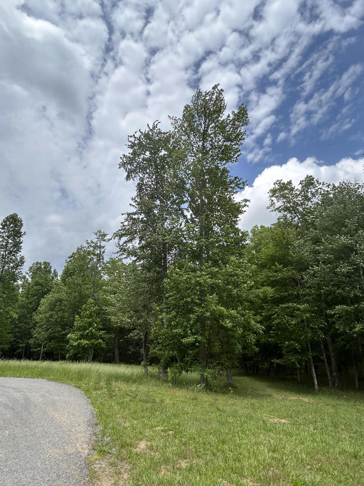284 Jasper Creek Court Ct #-239, Jasper, Tennessee image 18