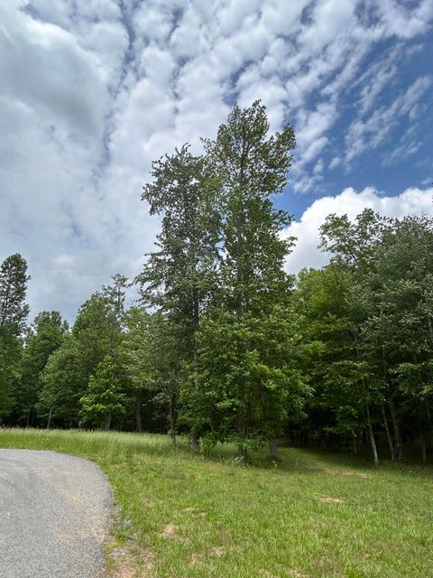 Tiny photo for 284 Jasper Creek Court Ct, Jasper, TN 37347 (MLS # 1513095)