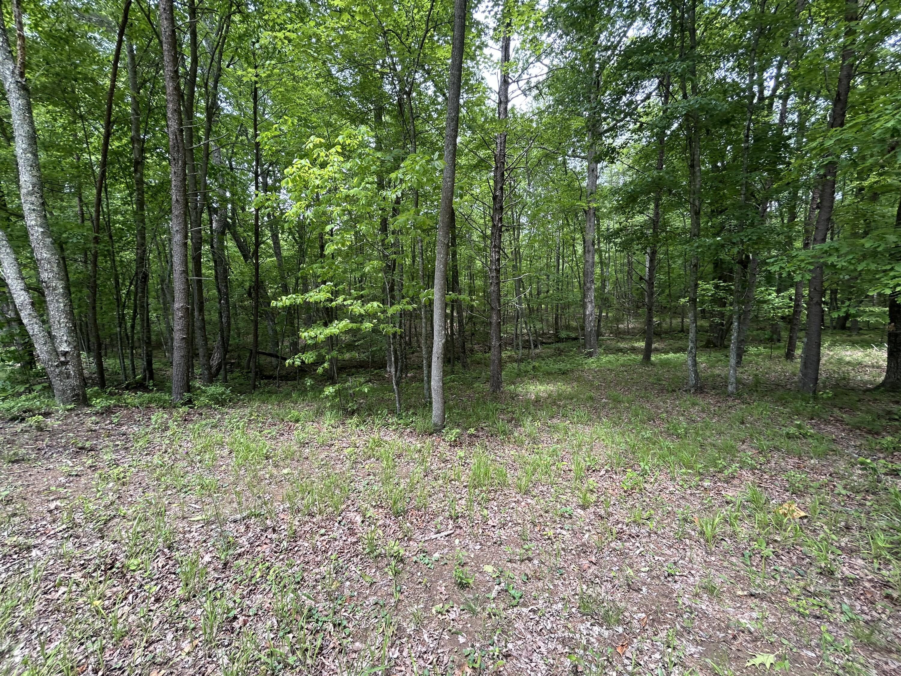 284 Jasper Creek Court Ct #-239, Jasper, Tennessee image 6