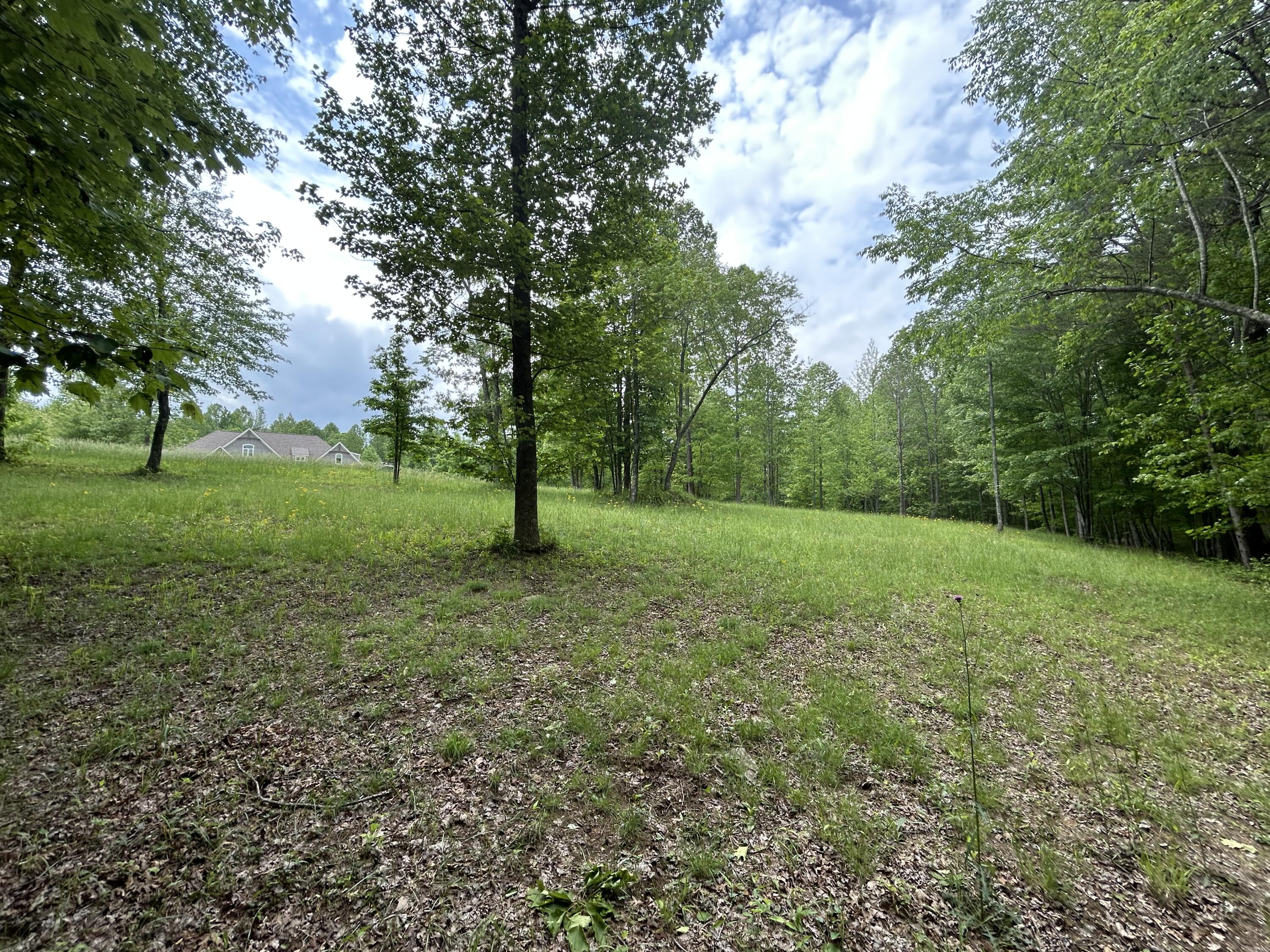 284 Jasper Creek Court Ct #-239, Jasper, Tennessee image 12