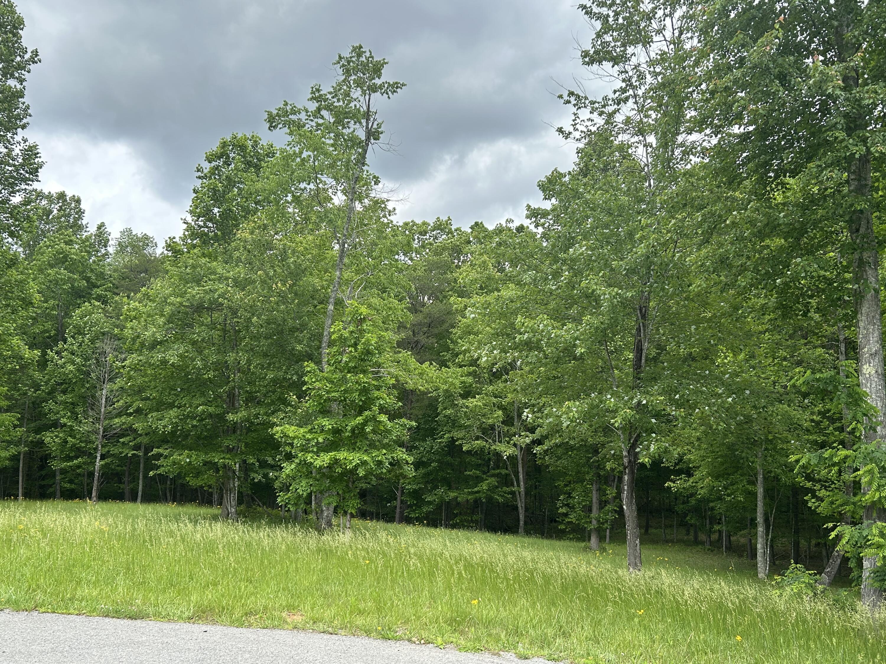 284 Jasper Creek Court Ct #-239, Jasper, Tennessee image 5