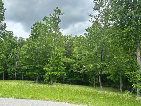 Tiny photo for 284 Jasper Creek Court Ct, Jasper, TN 37347 (MLS # 1513095)