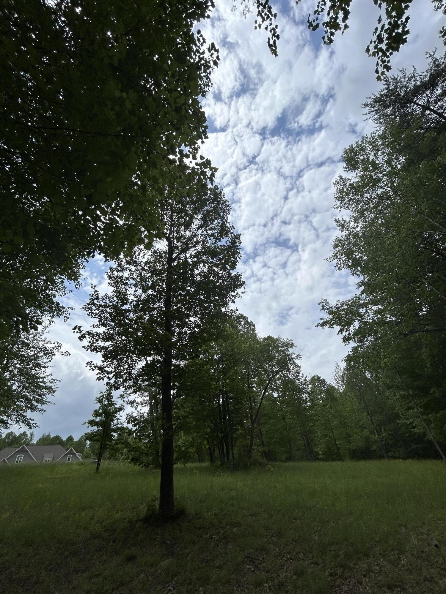 284 Jasper Creek Court Ct #-239, Jasper, Tennessee image 13